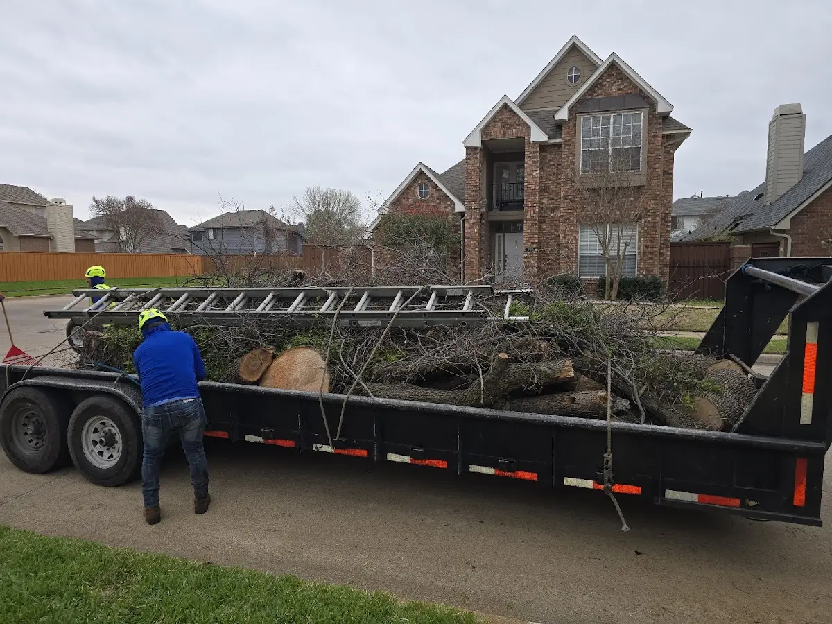 Expert Tree Fertilization with proper safety equipment in Sawyer